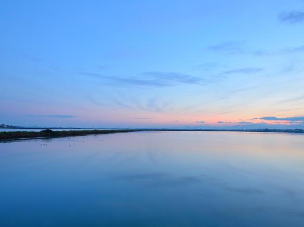 lungomarehotel en special-offer-families-in-hotel-in-cervia 017