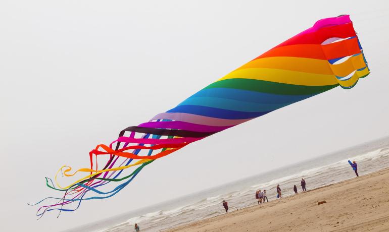 Aquilone arcobaleno vola su una spiaggia ventosa.